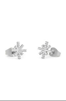 Сережки Daniel Wellington