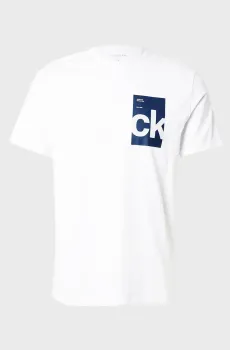 Мужская белая футболка SS 30s EU BH BOX GRAPHIC Белый XXL Calvin Klein Jeans LV04RC847G