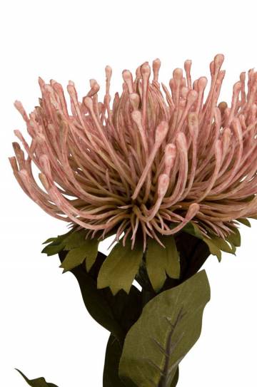 Искусственный цветок Present Time Protea Flower L Искусственный цветок Present Time Protea Flower L
