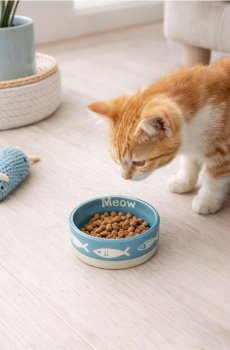 Керамічна миска для кота - синьо-зелений